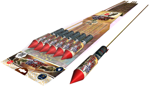  Ракеты Союз-Аполлон  в Луге